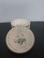 Noritake Country Diary of an Edwardian Lady Serving Platter Willow Warbler — listing 2