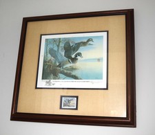 Framed Wood Duck Pair Print, Double-Matted in Black Wood Frame