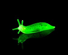 Depression Era Uranium Glass Small Plate / Saucer, 4.5 inch — listing 5