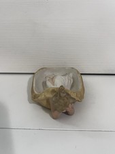 Vintage Bisque Porcelain Anthropomorphic Turtle Figurine with Bonnet Holding Ladybug