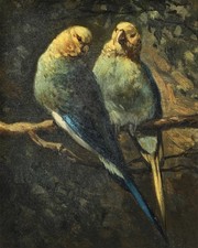 Framed Vintage Colored Print of a Macaw Parrot — listing 5