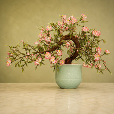 Chinese Jade & Hardstone Flowering Bonsai Tree in Celadon Carved Planter, listing 6