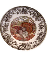 Queen's "Majestic Beauty" Turkey Transferware Coupe Bowl (Brown/Multicolor) — listing 5