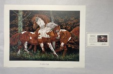 Judy Larson Signed Framed Wildlife Art Print - Appaloosa Horses in Birch Forest (Camouflage / Hidden Image) — listing 4