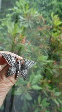 Vintage Marcasite Butterfly Brooch — listing 2