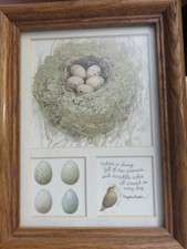 Marjolein Bastin Blue-Themed Nature Study Framed Print — listing 4