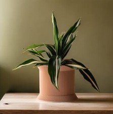 3D Printed Fluted Cylindrical Planter / Vessel — listing 2