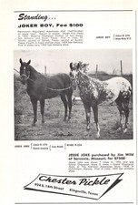 Stud Service Vol. 1 No. 1 Vintage Adult Gay Male Magazine (1970s) — listing 3