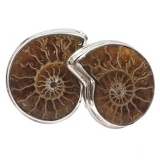 Cut and Polished Ammonite Fossil Sterling Silver Drop Earrings, 1 1/2" Fossil — listing 2