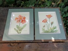 Floral Still Life Oil Painting on Board, Signed C. Murphy, Ornate Gilt Gesso Frame — listing 6