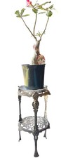 Antique Victorian Ornate Brass 3-Tier Plant Stand with Cherub Figural Supports — listing 3
