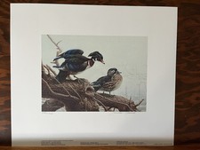 Michael Dumas Framed Wildlife Art Prints, Pair (Wolves & Bears)