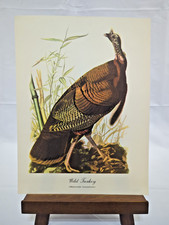 Framed Audubon 'Wild Turkey' Female and Young Bird Print, Plate VI — listing 3