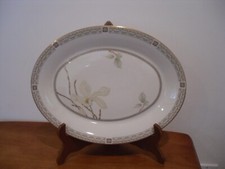 Royal Doulton White Nile TC1122 Salad/Luncheon Plates Set of 8