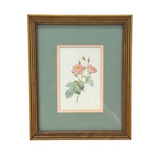 Framed Sepia-Toned Rose Print on Deckle-Edge Paper in Gold Ornate Frame No visible marks anywhere — listing 2