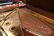 Steinway & Sons Walnut Grand Piano — listing 2