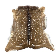 Natural Spotted Deer Hide Rug (Axis Deer Style), Approx 4-5 ft, Taxidermy Animal Skin — listing 6