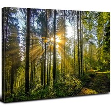 Sunrise Country Road Landscape Photography Canvas Print, Gallery-Wrapped — listing 6