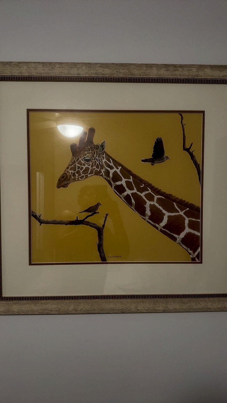 Framed Wildlife Painting of Giraffe with Doves, Signed J. Beckford